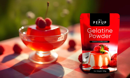 WHAT IS GELATIN POWDER? USES, BENEFITS & MORE - Baqa Foods